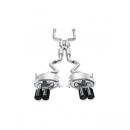 Akrapovic Evolution Abgassystem